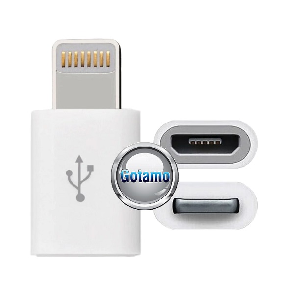 Apple Lightning į Micro