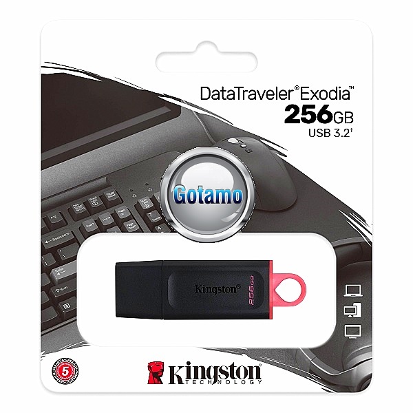 Atmintinė USB raktas 256GB KINGSTON