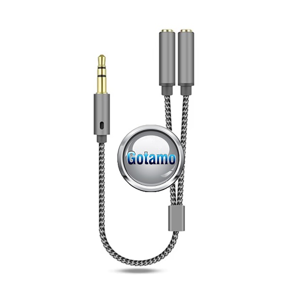 AUX 3.5mm į 2 AUX