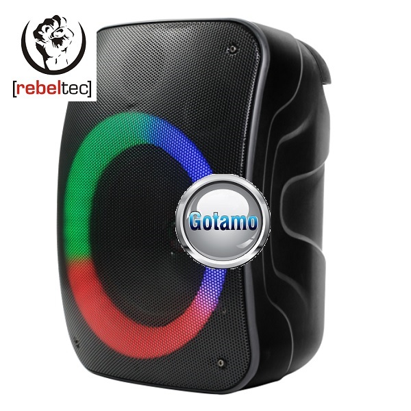 RebelTec Stage 300 juodos spalvos garsiakalbis 1