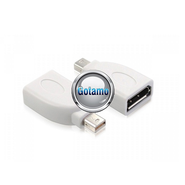 DisplayPort lizdas į