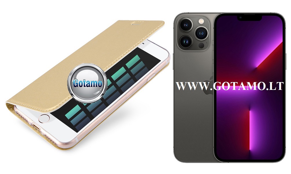 Dux ducis deklas knygele Apple iPhone 13 pro max aukso