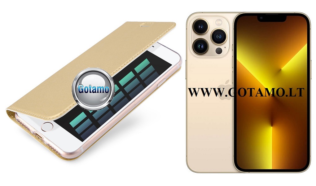 Dux ducis deklas knygele Apple iPhone 13 pro aukso