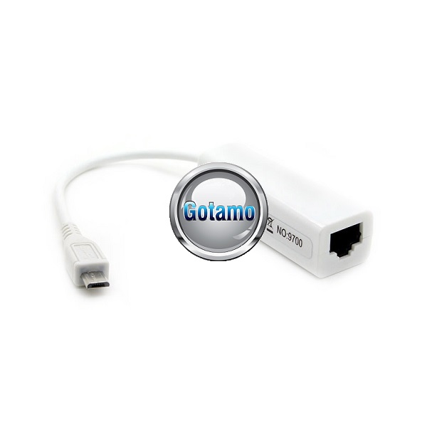 Interneto LAN korta adapteris laidas su Micro