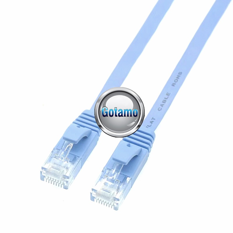 Interneto LAN laidas su RJ45 jungtimis 3