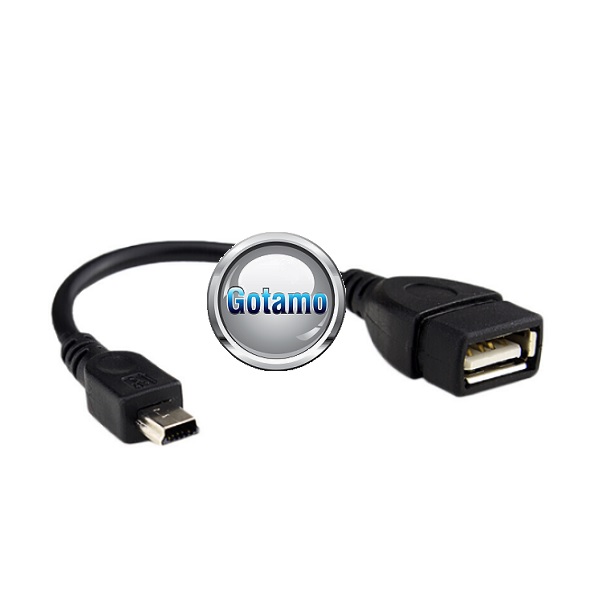 Mini USB į USB 2.0 lizdą jungtis laidas OTG