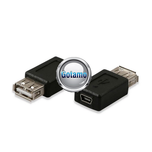 Mini USB lizdas į USB 2.0 lizdą