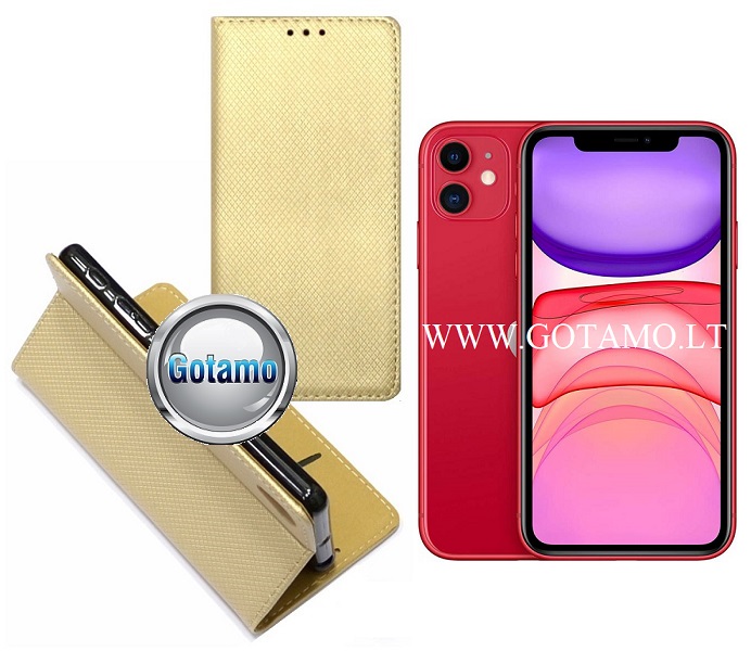 Re grid magnetinis deklas Apple iPhone 11 aukso