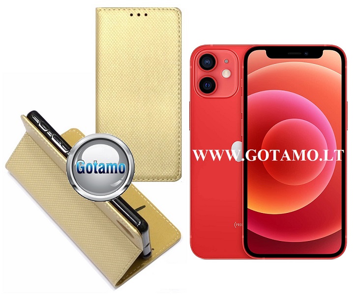 Re grid magnetinis deklas Apple iPhone 12 mini aukso
