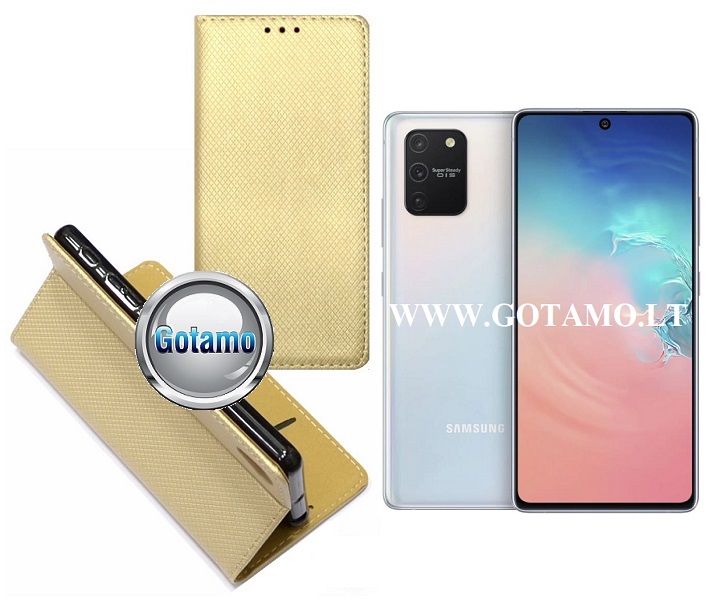 Re-Grid magnetinis dėklas Samsung Galaxy S10 Lite aukso spalvos