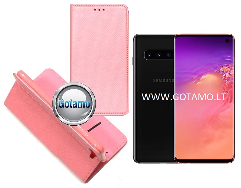 Re-Grid magnetinis dėklas Samsung Galaxy S10 rožinės spalvos