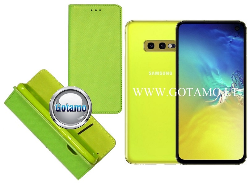 Re-Grid magnetinis dėklas Samsung Galaxy S10e salotinės spalvos
